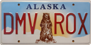 Grizzly Bear
