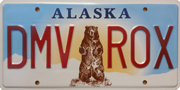 grizzly bear plate