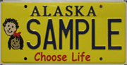 Artistic Plate