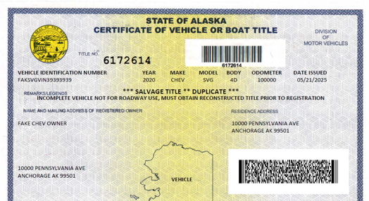 Salvage Vehicle Title 2.